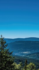 Obraz premium a mountain landscape adorned by lush green meadows and dense pine forests reaching up to the skyline, under the clear blue skies, evoking a sense of awe and tranquility.