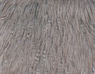 sheepskin closeup white lamb coat wool