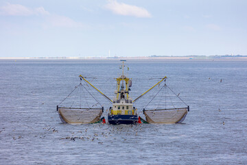 Fishery concept, Fishing boat sailing in the sea with net or trawl on the side to catch the fish, Flying seagulls birds behind eating fishes from fisherman, Dutch north sea, Noord Holland, Netherlands