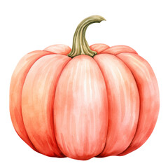 Single pretty pink and orange watercolour style pumpkin on a transparent background, great for social media, marketing material, websites and stickers