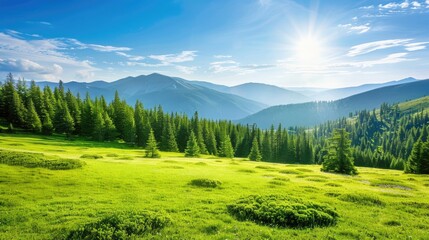 a mountain landscape adorned by lush green meadows and dense pine forests reaching up to the skyline, under the clear blue skies, evoking a sense of awe and tranquility.