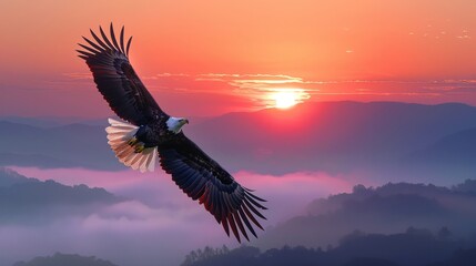 Majestic Eagle Soaring at Sunrise Over Misty Mountain Landscape