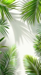 Obraz premium tropical palm leaves casting shadows on a pristine white background, creating a minimalist flat lay top view with ample space for text, perfect for a summer concept.