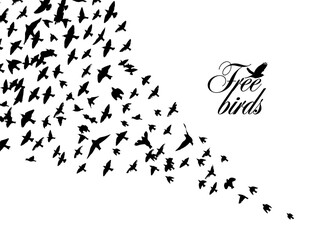 Flying birds silhouette flock. hand drawing. Not AI, Vector illustration