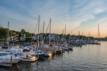 Fototapeta premium The Marina at Sunset, Eastport Maryland USA