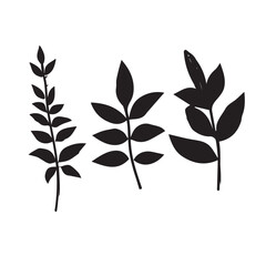 Set Of Leaf icon, Vector branch with leafs decorative, Black and white leaves design, hand drawn plant. natural line style illustration.