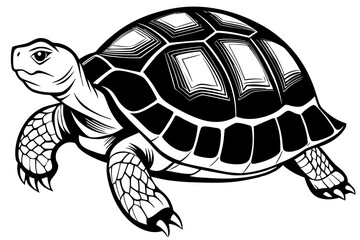 Tortoise Silhouette ,icon,vector