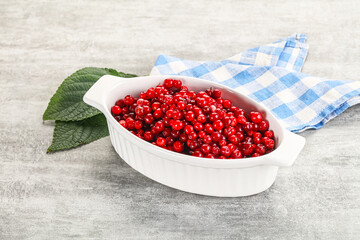 Ripe sweet wild organic cowberry