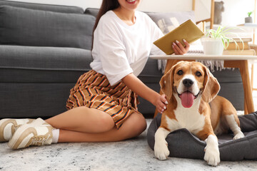 Young woman reading book and petting cute Beagle dog on floor in living room, closeup