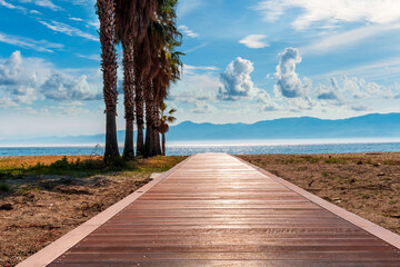 summer season landscape of a beach road to the sea with palm sidewalk way blue watewr and cloudy...