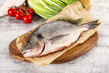Raw dorada fish served rosemary