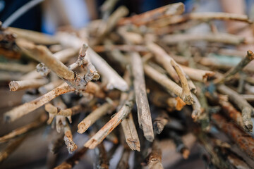 Dobele, Latvia - June 7, 2024 - A close-up of a pile of intertwined wooden sticks with a shallow depth of field, highlighting textures and natural imperfections.