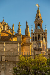 La Giralda (translated to The Giralda), the beautiful bell tower of Seville's Cathedral, Spain