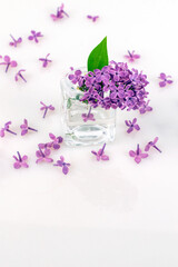 Beautiful lilac flowers in a glass vase on a white background, Mockup card. copy space