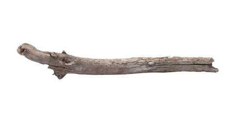 Old dry tree branch isolated on white