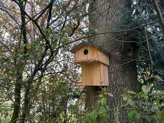 Beautiful wooden birdhouse hanging on tree trunk in park