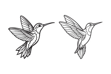 vector silhouette of hummingbird bird with minimalist design