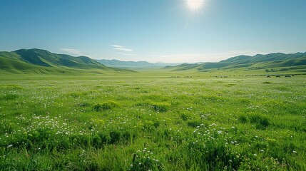 Lush Green Grassland With Rolling Hills Under a Bright Sunny Sky