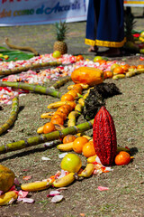 Ritual andino con variedad de frutas y flores tropicales, instrumentos y artículos indigenas del Ecuador.
