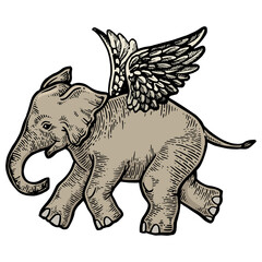 Angel flying baby elephant color sketch engraving PNG illustration. Scratch board style imitation. Black and white hand drawn image.