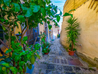 Picturesque narrow alley with plants in Naples