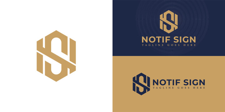 Abstract initial hexagon letters NS or SN logo in gold color isolated on multiple background colors. The logo is suitable for human resources company logo vector design illustration inspiration