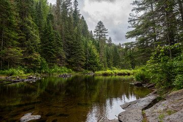 A watery clearing in a forest is seen under an overcast sky on the Track and Tower Trail in Algonquin Park, Ontario.