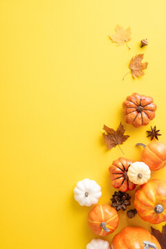 A vibrant autumn-themed vertical image featuring an arrangement of orange and white pumpkins on a yellow background with scattered leaves and acorns