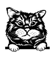 Cute Funny Peeking Cat | Home Pet | Lovely Kitten | Pet Portrait | Vet Clinic | Peeking Animal | Kitten | Original Illustration | Vector and Clipart | Cutfifle and Stencil