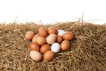 Fresh chicken eggs on dried straw against white background