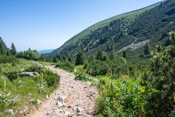 Landscape of Rila Mountain near Malyovitsa peak, Bulgaria