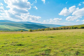 Obraz premium A scenic landscape of a green grassy field with mountains visible in the distance
