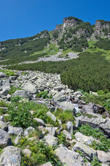 Landscape of Rila Mountain near Malyovitsa peak, Bulgaria