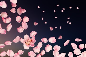 Falling Down fresh Rose Petals on background