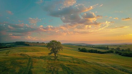 Obraz premium A single tree standing tall in a lush green grassy field at the golden hour of sunset