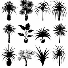 Fototapeta premium Dracaena Pot Plant Icon Set, Dracaena Plant Flat Design, Abstract Dracaena Symbol, Simple Pot Flower