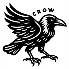Fototapeta premium Crow black outline illustration.