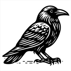 Fototapeta premium Crow black outline illustration.