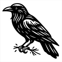 Fototapeta premium Crow black outline illustration.