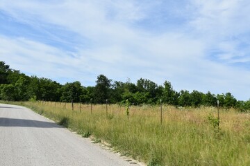 Farm Field by a Gravel Road