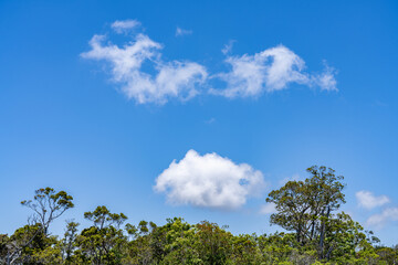 Kalalau Lookout, Kokee State Park Kauai Hawaii. Clouds photographed from an airplane，Cumulus clouds are clouds that have flat bases and are often described as puffy, cotton-like, or fluffy in appearan