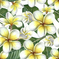 Fototapeta premium Seamless pattern with plumeria and frangipani flowers with leaves. A hand-drawn watercolor illustration. For textiles, wallpapers and backgrounds. For packaging paper and labels, printing, decoration.