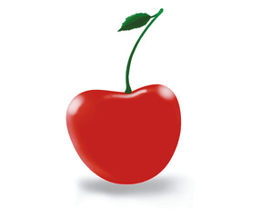 red cherry fruit vector illustration