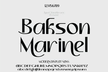 Elegant alphabet letters font and number. Classic Lettering Minimal Fashion Designs. Typography modern serif fonts decorative vintage design concept. vector illustration