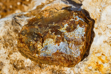 The lumpy surface of kidney-shaped sinter chalcedony covering flint, collecting stones and minerals