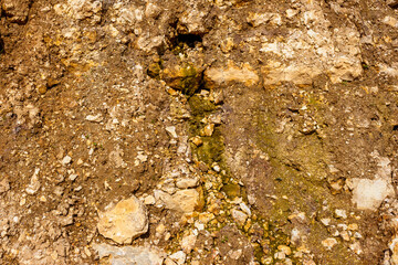 A trickle of water flowing from sedimentary rock outcrops, an aquifer in Carboniferous limestones, Kaluga region, Russia