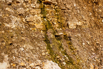A trickle of water flowing from sedimentary rock outcrops, an aquifer in Carboniferous limestones, Kaluga region, Russia