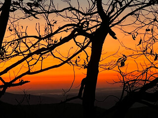 Trees silhouetted against the orange sunrise in the North Carolina mountains