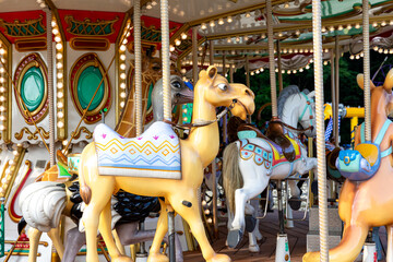 Carousel in an amusement park. Merry go round. The concept of summer holidays and school holidays