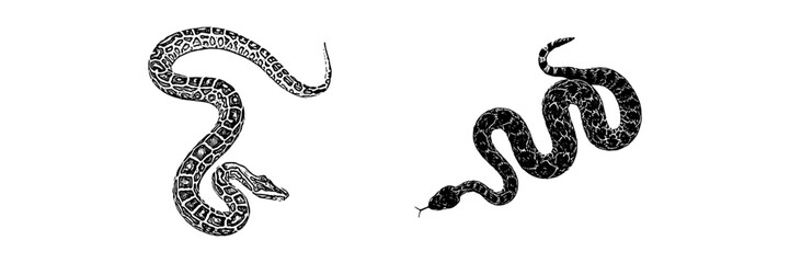  silhouette illustration  background for a snake day